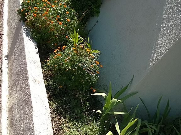 4th image of 6400 Evergreen Ave