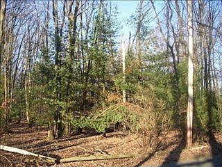 2nd image of 399 Moyers Station Rd