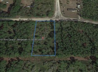 137 Pine Cone Dr, Georgetown, FL 32139
