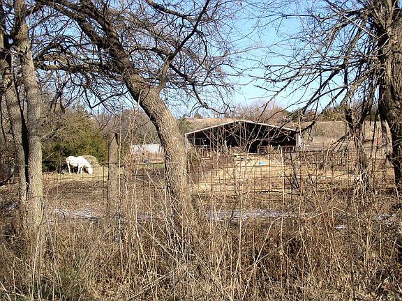 Shed & working pens