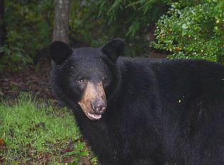 720 Salisbury Rd, Hendersonville, NC 28792