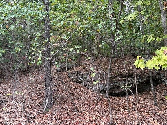 3rd image of 1111 Bob Davis Mountain Rd
