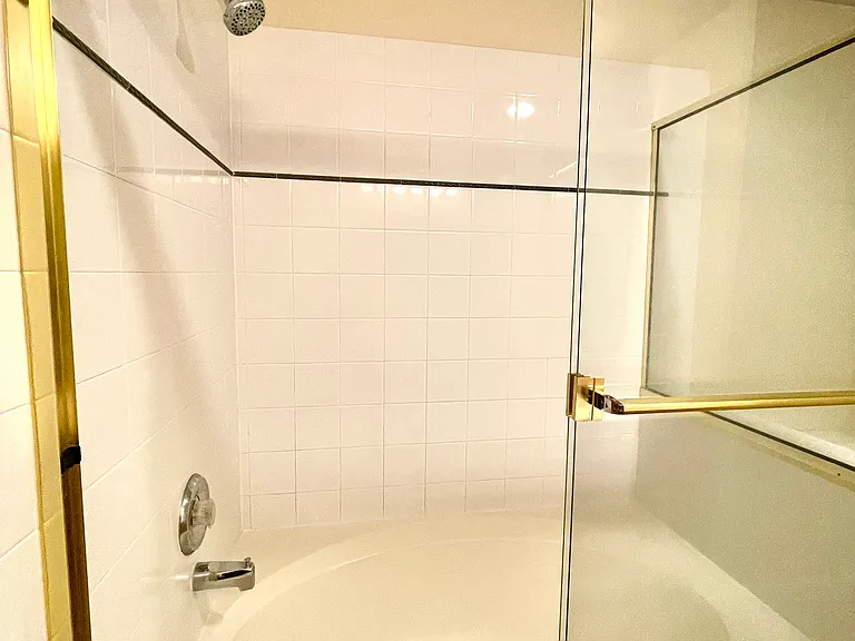 Master shower/bath