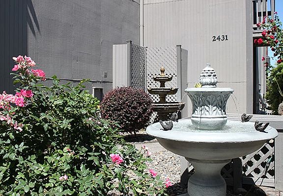 Exterior - Fountains