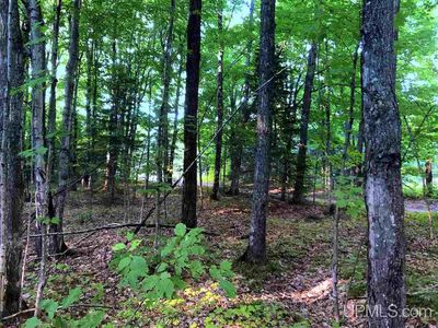 Eek Rd, Gwinn, MI, 49841