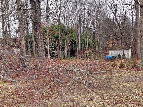 4th image of 216 N Cricket Dr