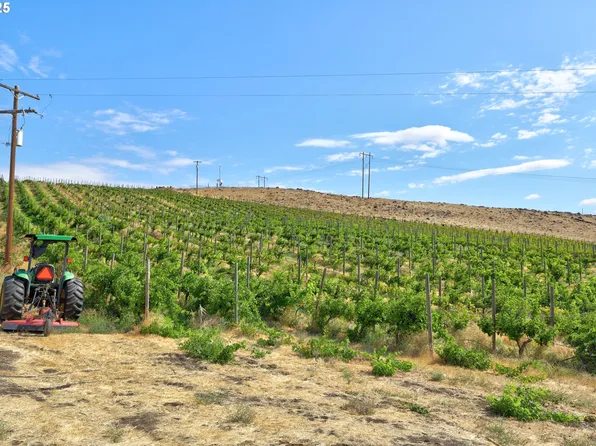 Dalles Mount Rd, Dallesport, WA 98617