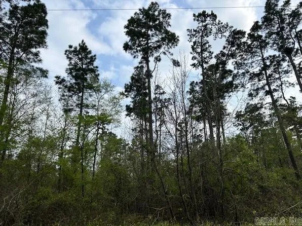 31 Nevada, Emmet, AR 71835