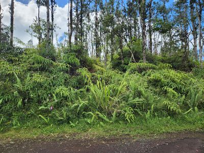 Holiday Rd, Pahoa, HI, 96778