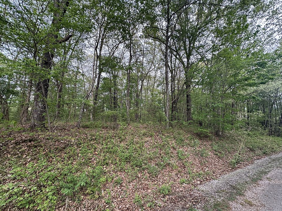 1st image of 2413 Summer Oaks Cir