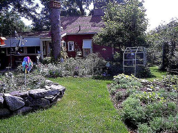 Part of back yard