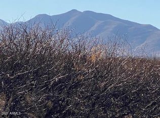 TBD W No Name off Acorn  40 Ac's -- #25, McNeal, AZ 85617