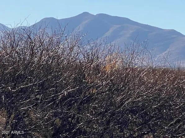 TBD W No Name off Acorn  40 Ac's -- #25, McNeal, AZ 85617