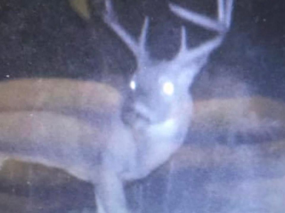 2nd image of 134 Hunters Den