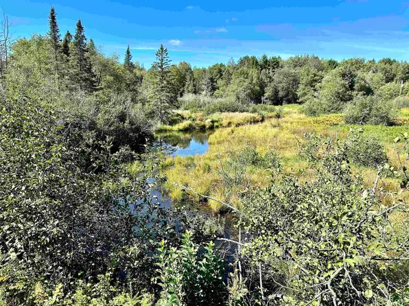 Hawks Dr, Republic, MI 49879