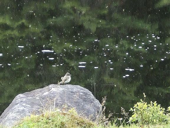 3rd image of 26 Dugal Rd Lot 2