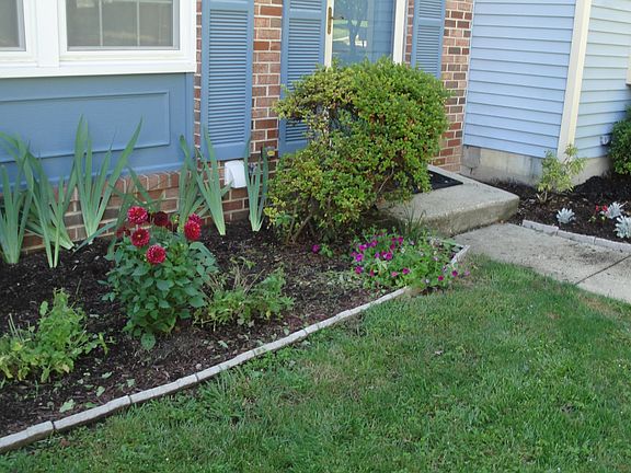 2nd image of 8332 Mary Lee Ln