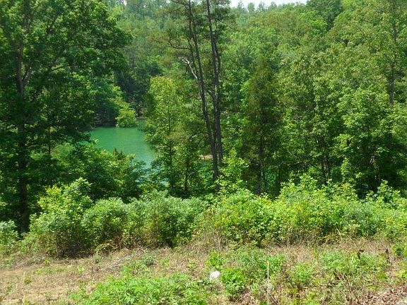 Looking at lake from road