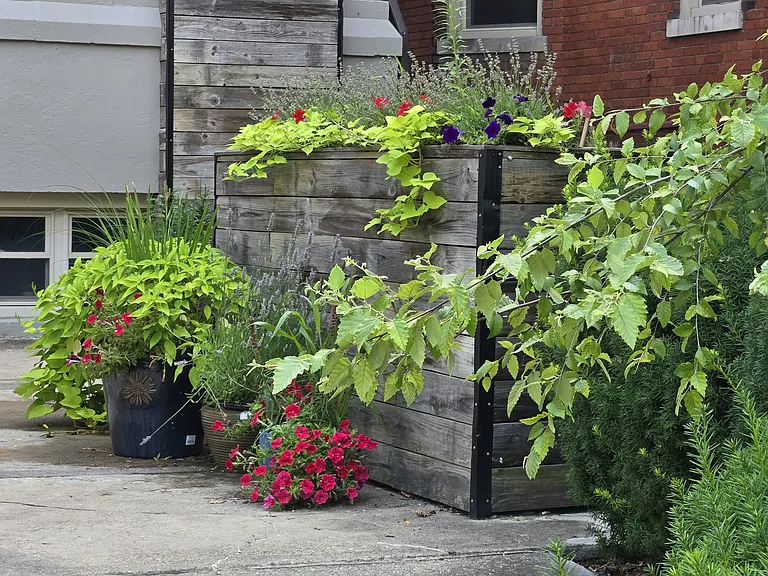 342 Forest Ave #C1 — Photo 28