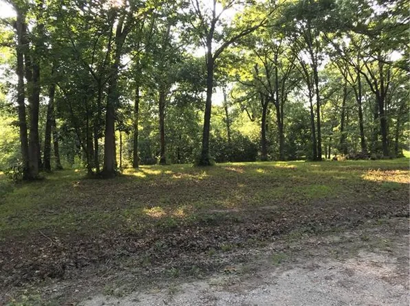 NW County Road 2961 Rd, Butler, MO 64730