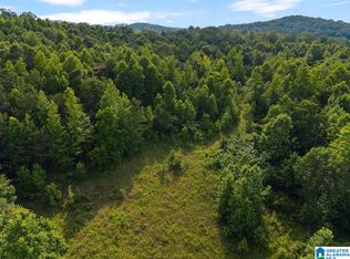 1 State Highway 75, Oneonta, AL 35121