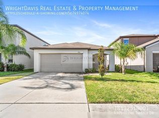 4305 Globe Thistle Dr, Tampa, FL 33619