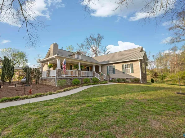 5900 Nixon Chapel Rd, Horton, AL 35980