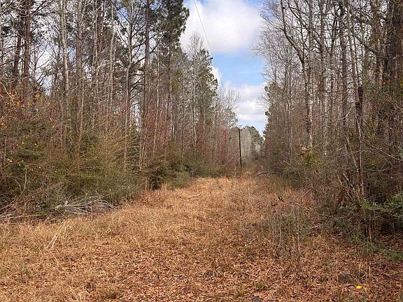 3rd image of County Road 434