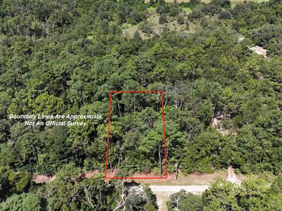 Vacant Ne Chive Ter, Lee, FL, 32059