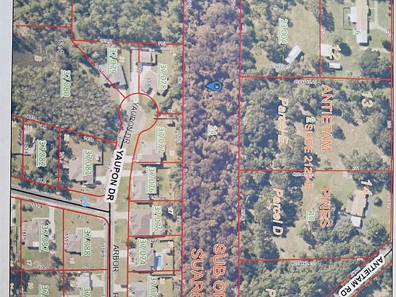 2nd image of 33003 Albert Hollon Ln
