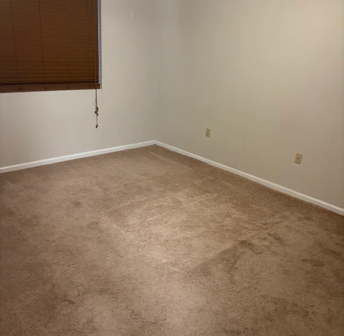 2 bed, 984 sqft, $1,600 — Photo 3