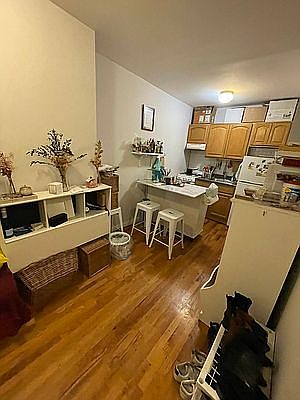 5th image of 145 E Houston St APT 1F