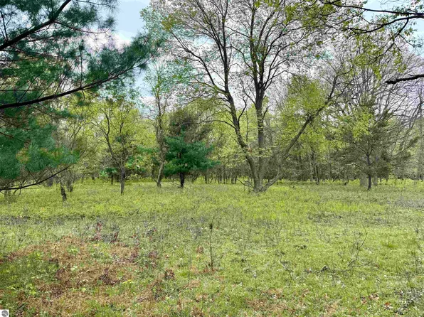 PARCEL W Rosted Rd #D, Lake City, MI 49651