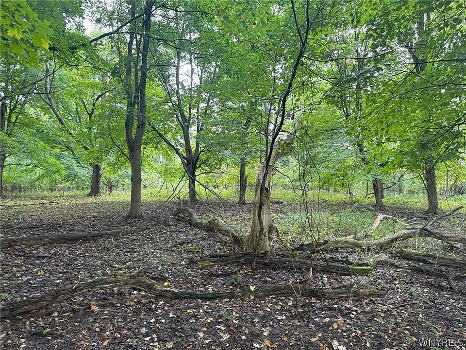 2nd image of Vl Angle Rd