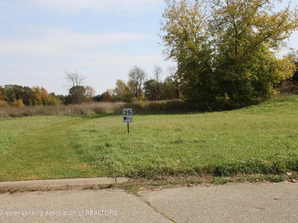 8201 Country Farm Ln, Laingsburg, MI 48848