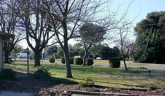 5th image of 13028 N Paddy Creek Ln