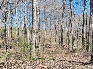 495 Clear Fork Branch Rd, Eubank, KY 42567