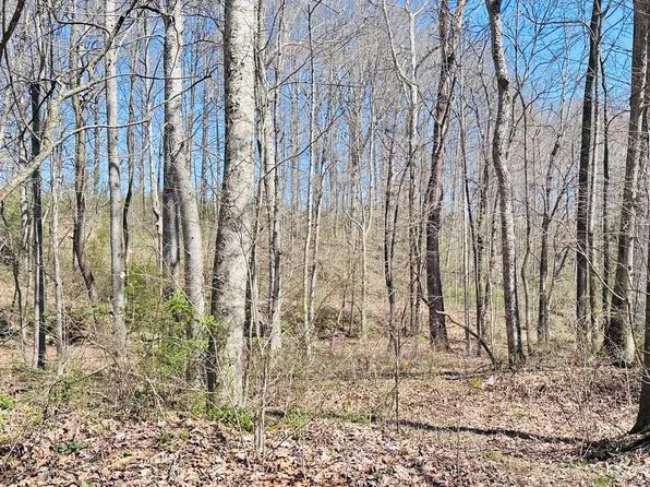 495 Clear Fork Branch Rd, Eubank, KY 42567