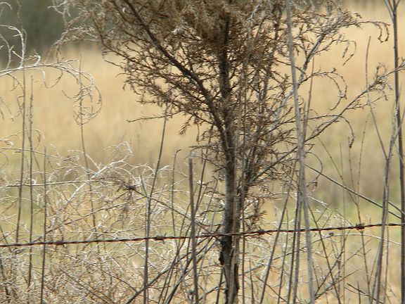 4th image of 0 County Road 728