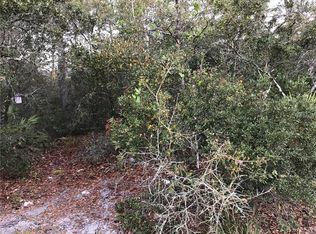 43129 Cooter Pond Rd, Deland, FL 32720