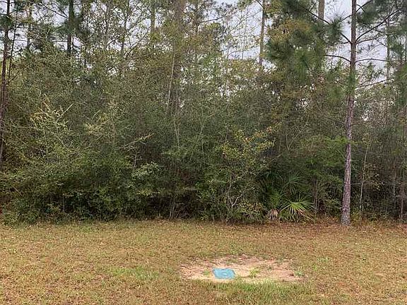 2nd image of Tall Timber Ln