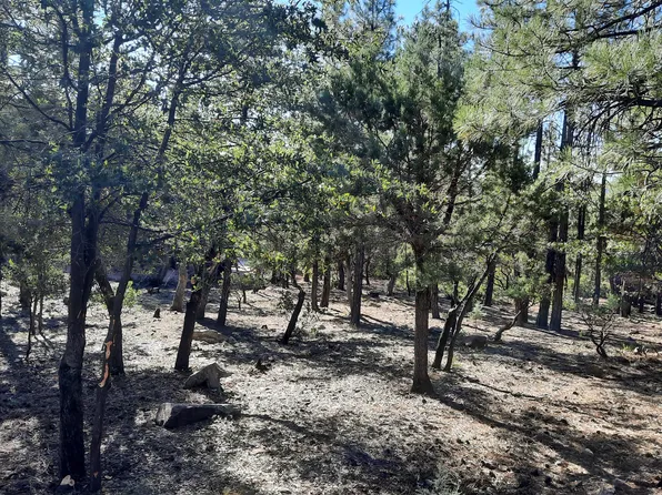 LOT 90 W Mystical Cir, Pine, AZ 85544