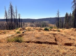 4981 Edgewood Cir, Grizzly Flats, CA 95636