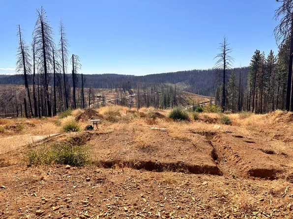 4981 Edgewood Cir, Grizzly Flats, CA 95636