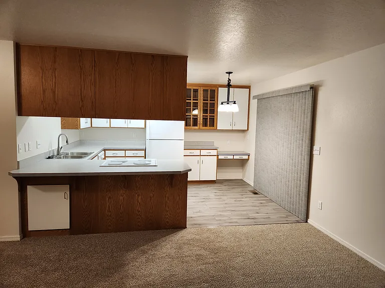 317 E Dodge St #1 — Photo 4