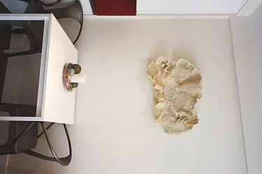 Rented by ER (DO NOT USE)