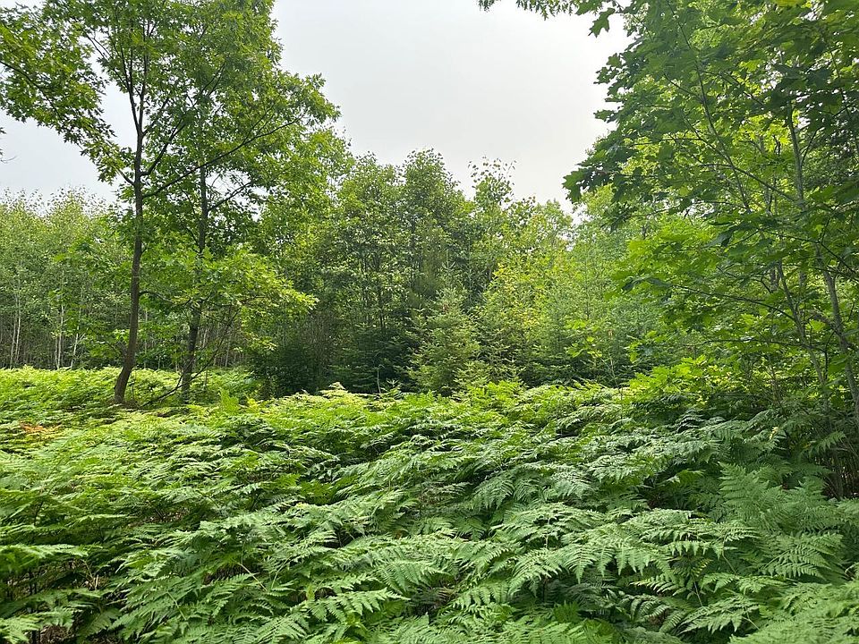 1st image of Lake Rd