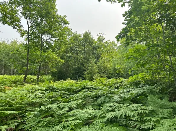 Lake Rd, Rhinelander, WI 54501