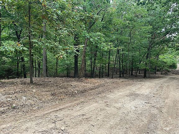 Homesite and driveway