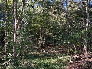 3rd image of 0 County Road 368
